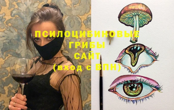 дмт Лабытнанги