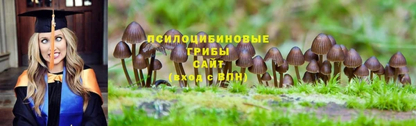 дмт Лабытнанги