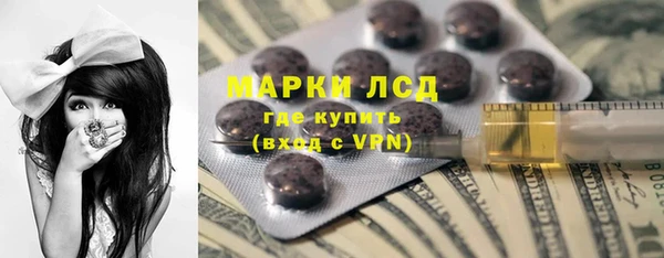стаф Ладушкин