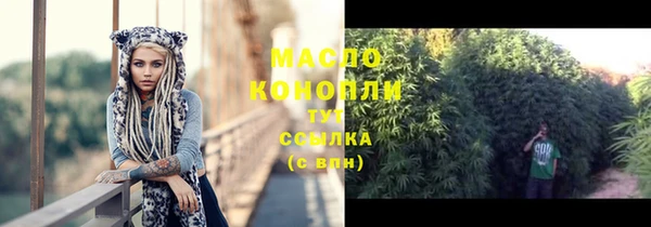 дмт Лабытнанги