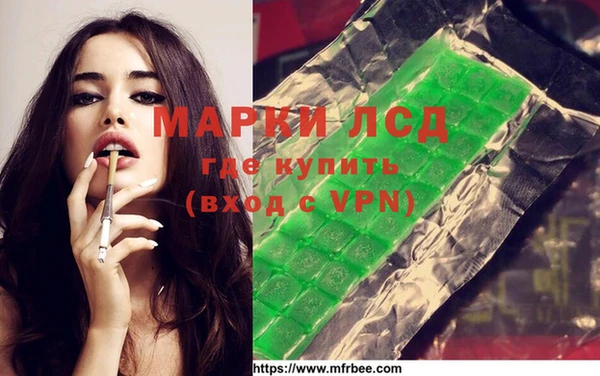 стаф Ладушкин