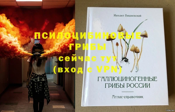 дмт Лабытнанги