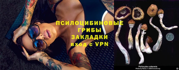 прущие крисы Лагань