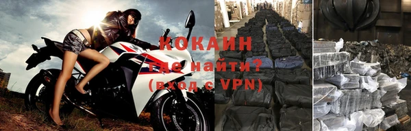 стаф Ладушкин