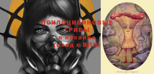 стаф Ладушкин